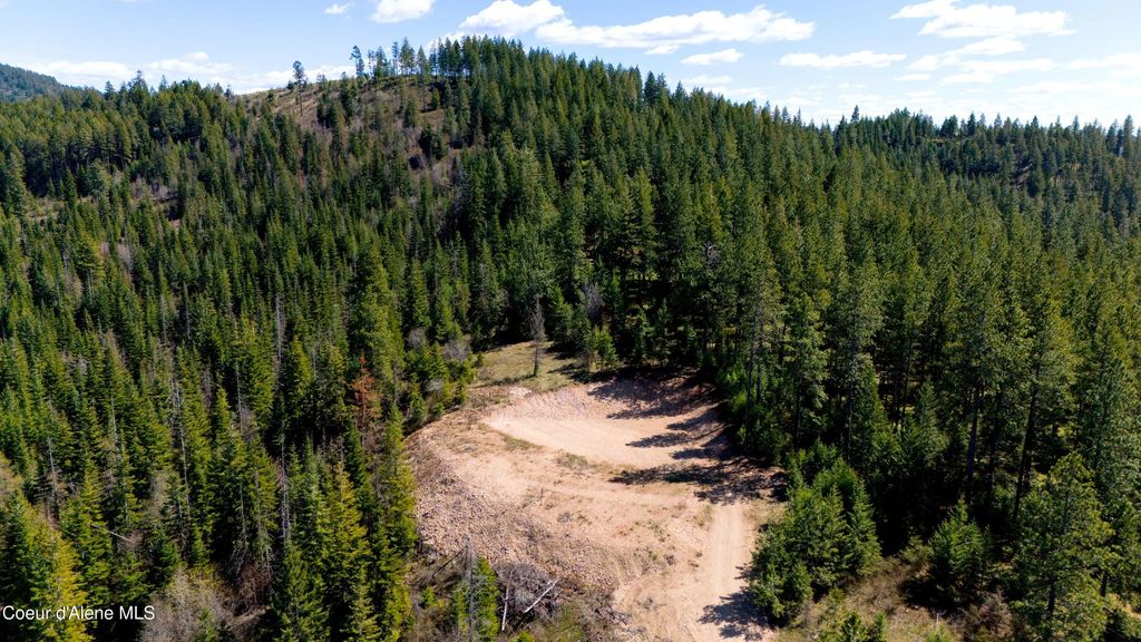 Lot 10 Lone Moose Dr, Plummer