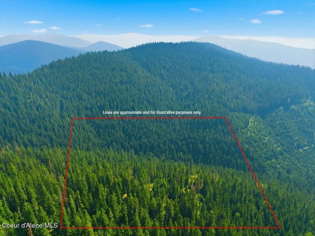 Nka 40 Ac Usfs 610 Rd, Hayden