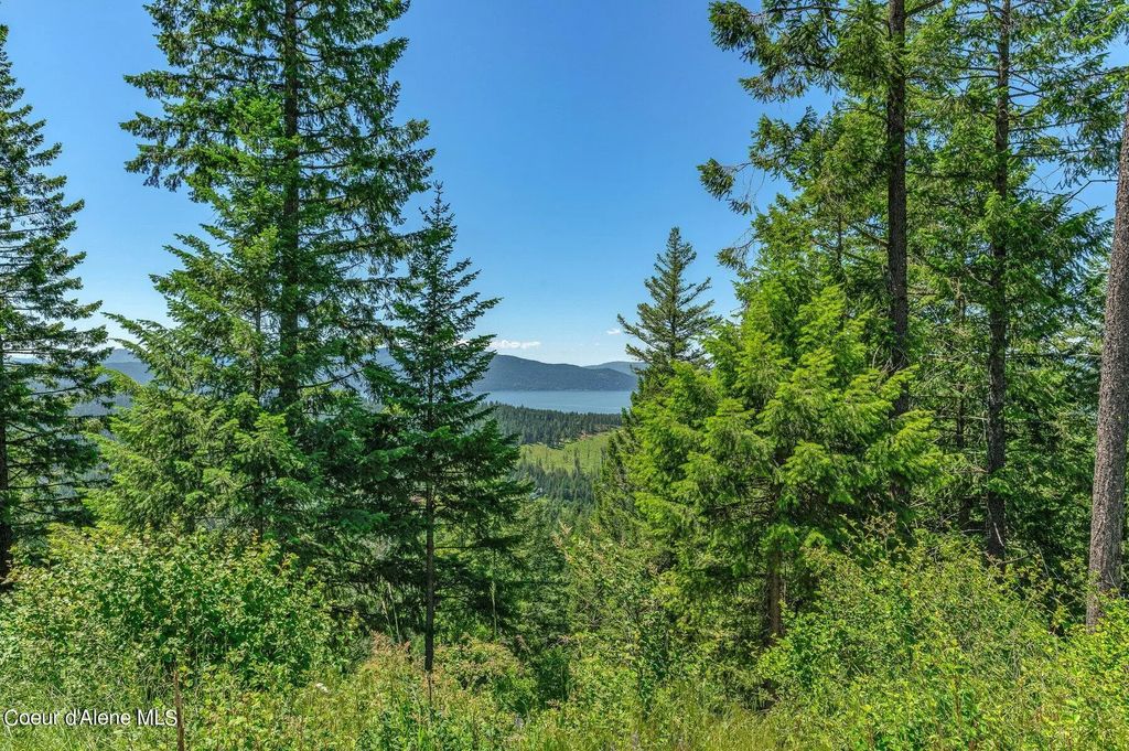 Nna  T1-a Green Monarch, Sandpoint