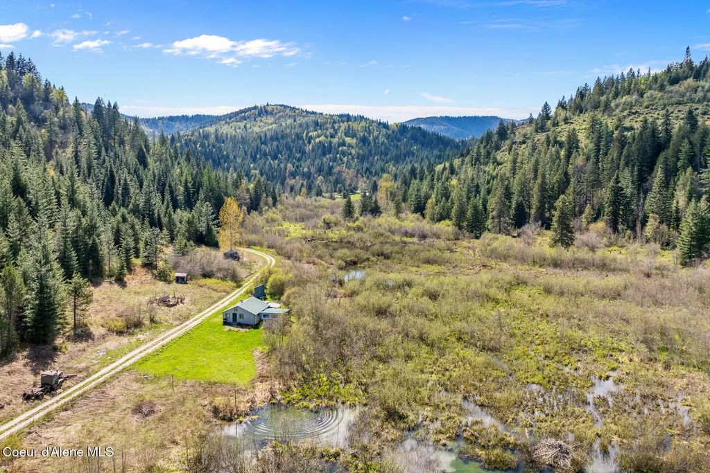 1791 Pup Paw Trl 50 Acres, Priest River