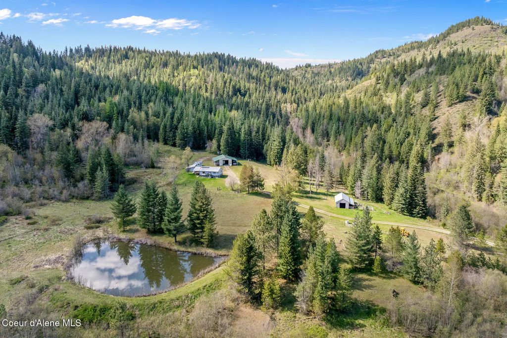 1791 Pup Paw Trl 94.5 Acres, Priest River