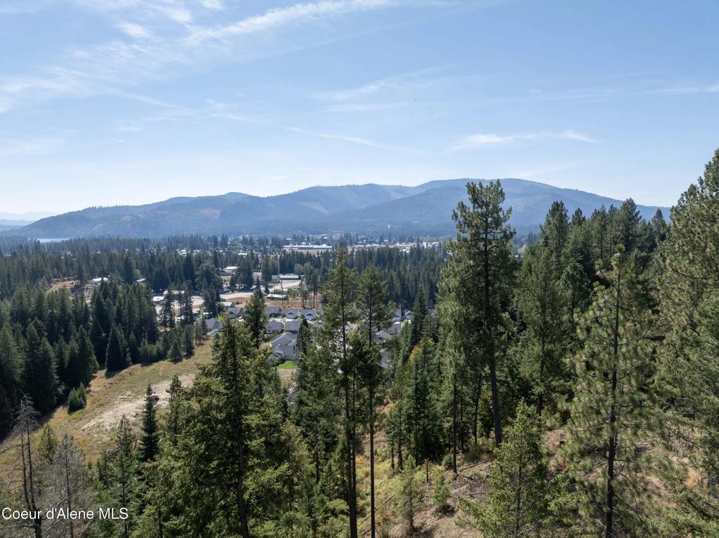 Lot 2 Two River, Priest River