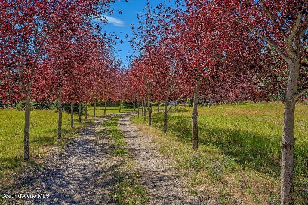 Nna W Mountainview Rd 130a, Moyie Springs