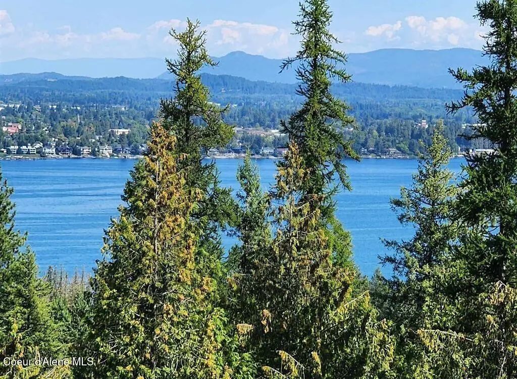Lot 3 Mountain Ridge Dr, Sagle