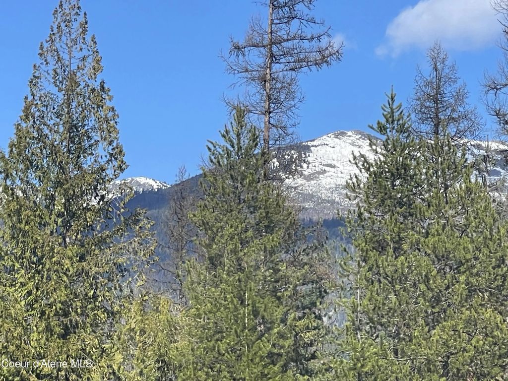 Nna Wolverine Rd, Moyie Springs