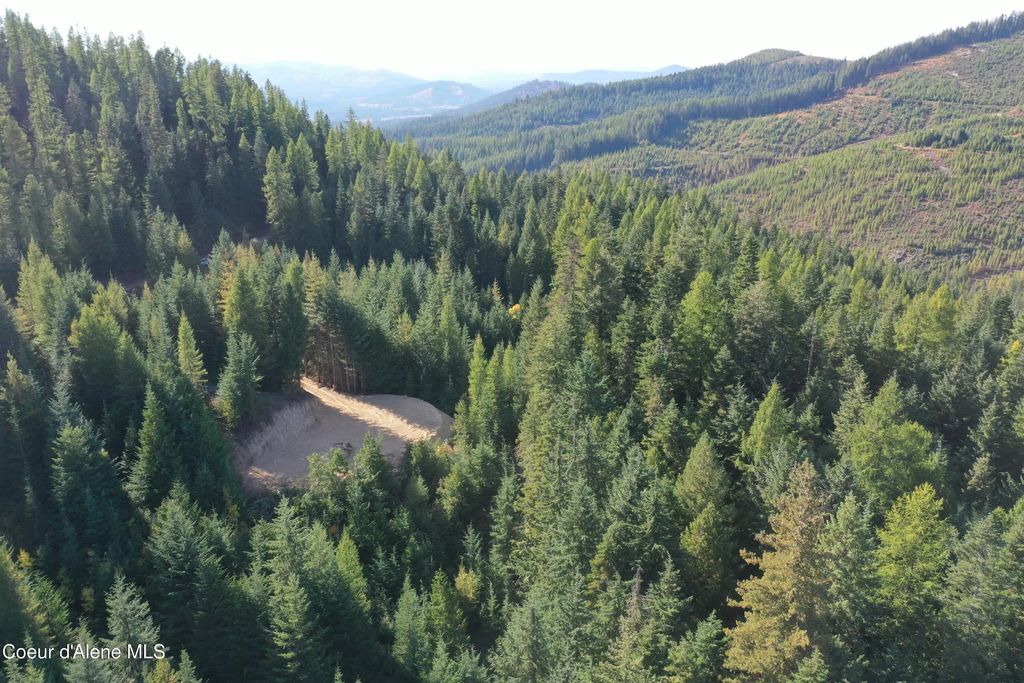 1802 Alpine Dr, Fernwood