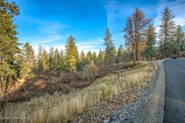 Lot 4 Walkinshaw Ct, Coeur d'Alene