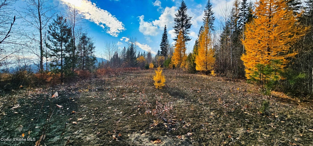 Nna 35 Acres Otter Ln, Naples