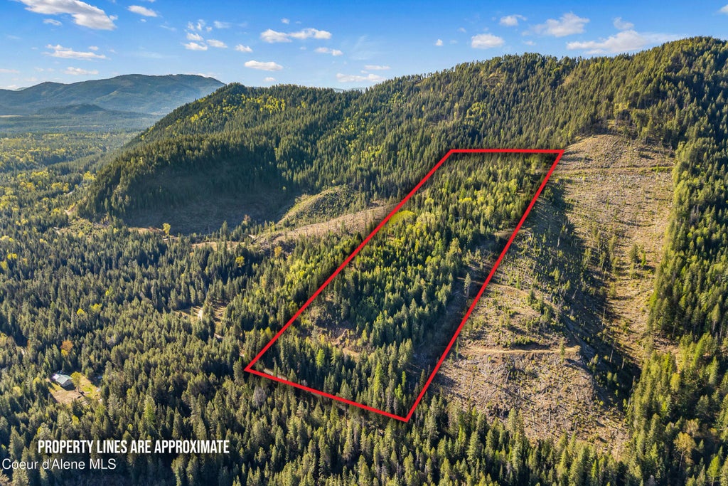 858 Pup Paw Trl, Priest River