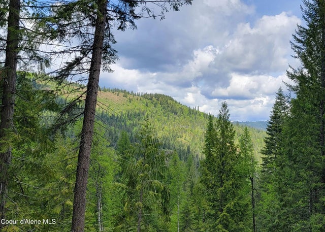 Nna Pup Paw Trail, Priest River