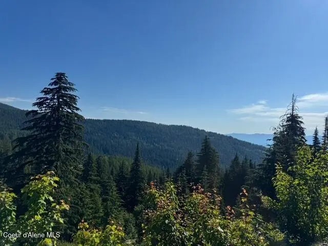 Nna Avalanche Dr, Sandpoint