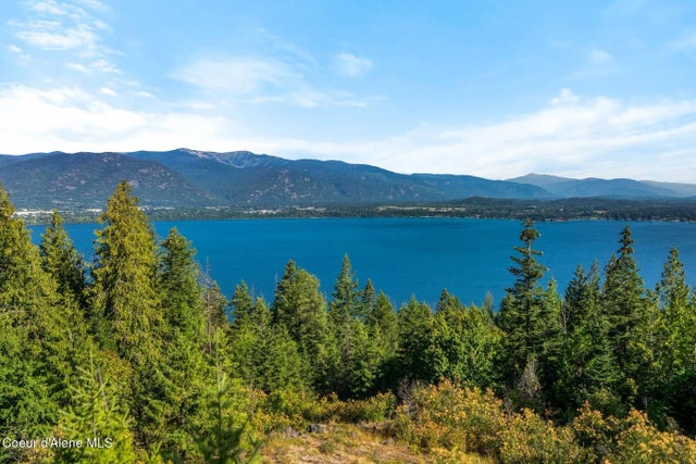 Nna Cliffs Above Contest, Sagle