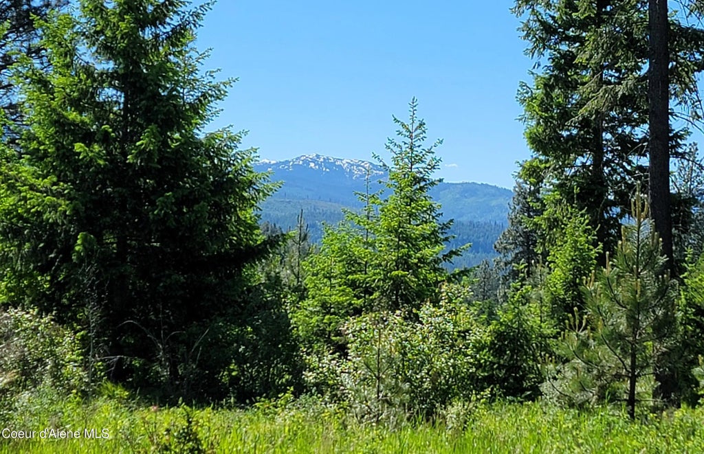 Nna Falcon Ridge Drive - #1, Naples