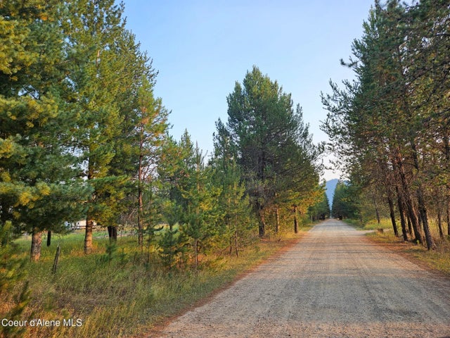 461 Bear Rd, Priest River