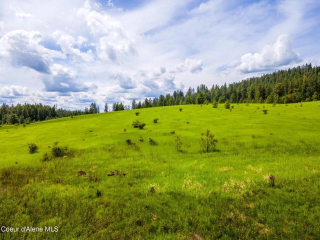 15809 N Scribner Branch Rd, Spokane