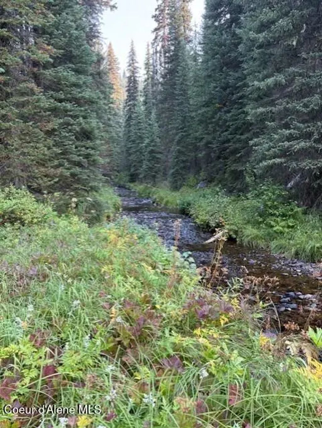 Nw 80 Pack Creek Road, unincorporated