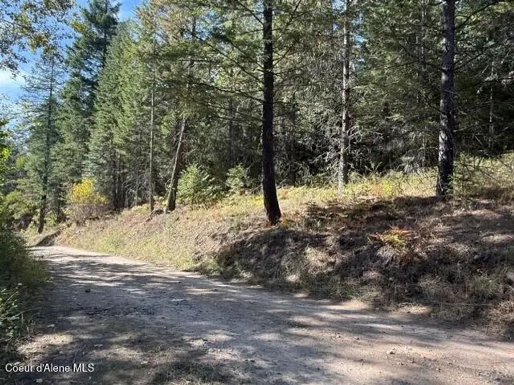 Gold Cup Mountain Rd, Priest River