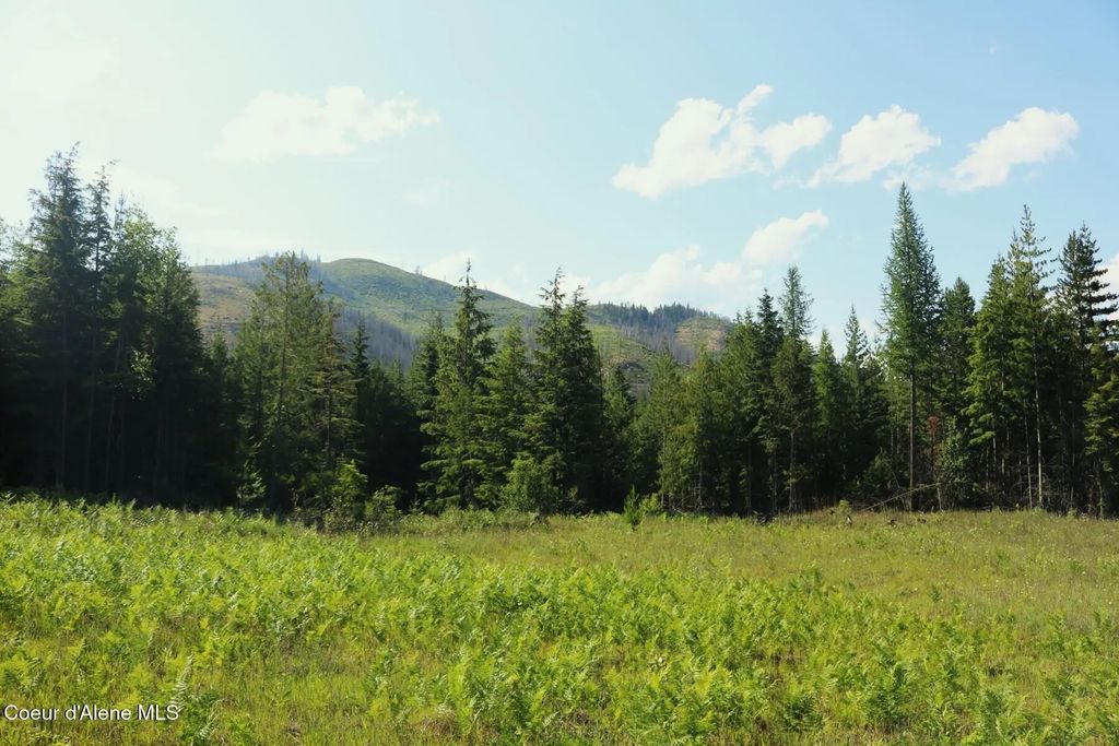 Nka Slippery Slope Trail, Priest River