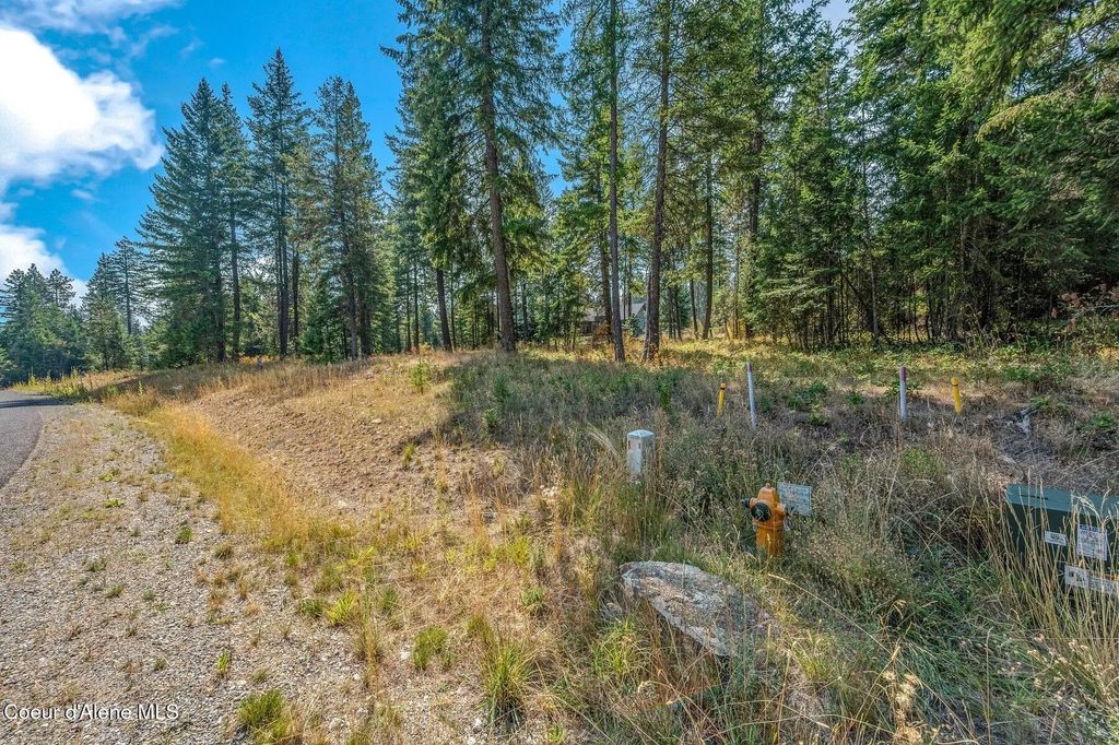 L4b1 N Walden Loop, Rathdrum