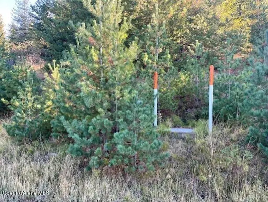 277 Diamond Hitch Dr, Kellogg