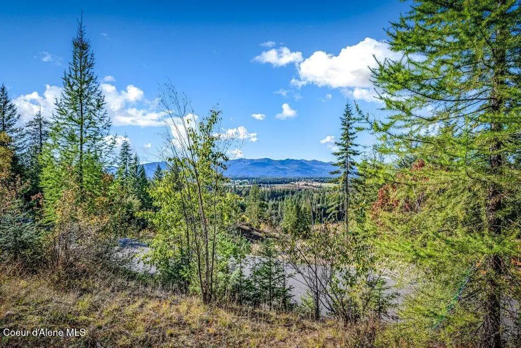 Nna C15 White Cloud Drive, Sandpoint