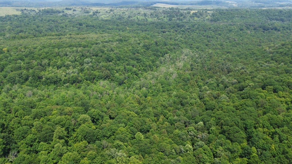 00 Glen Campbell Rd, Glen Campbell