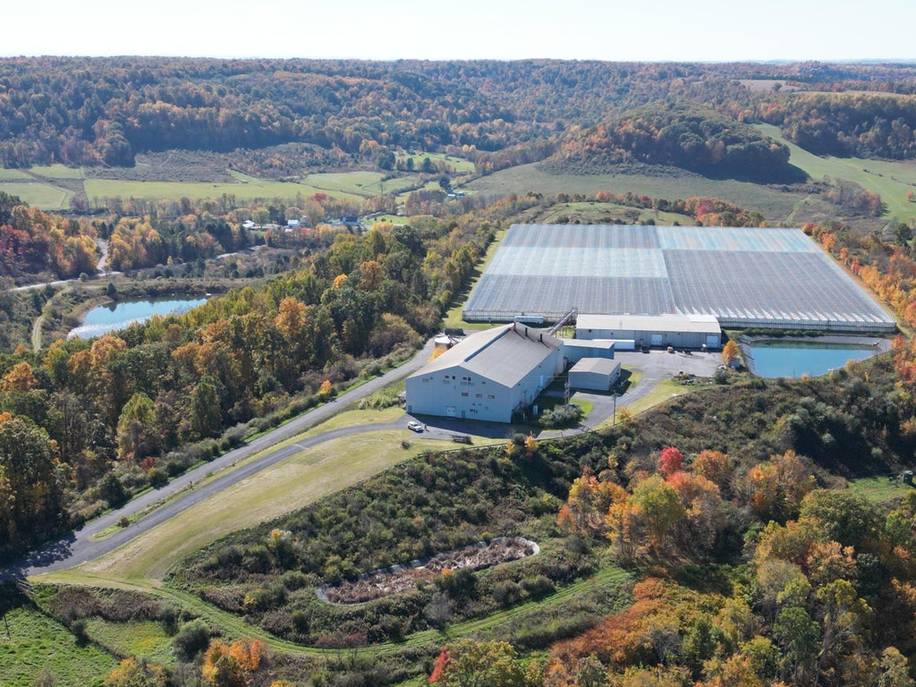 566 - 568 Tomato Dr, Punxsutawney