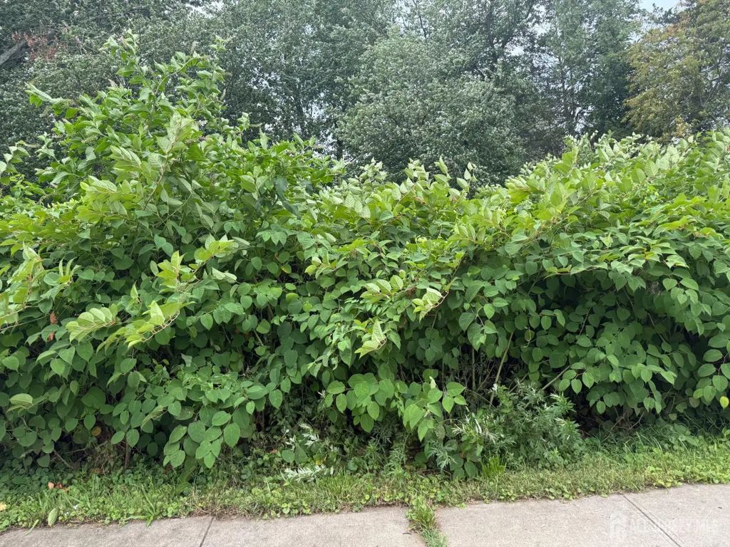 1110 Se Walnut Street, Piscataway
