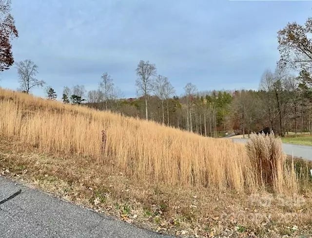 3612 Cornwell Court 139, Morganton