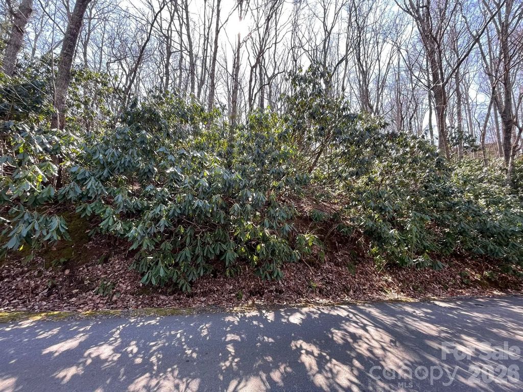 111 Deer Run Lane 40, Asheville