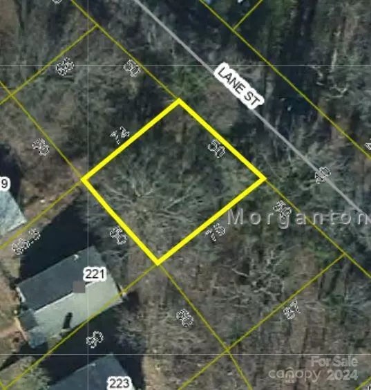 Lot 4 Lane Street 4, Morganton