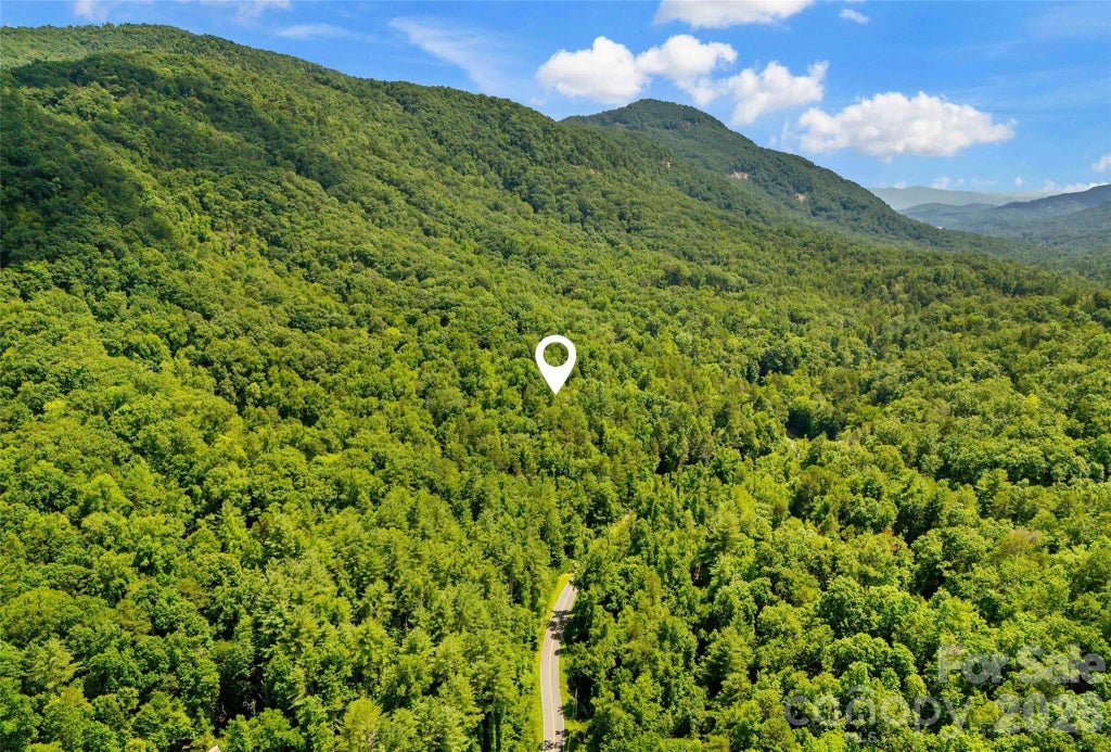 0 Buffalo Creek Road 0, Lake Lure