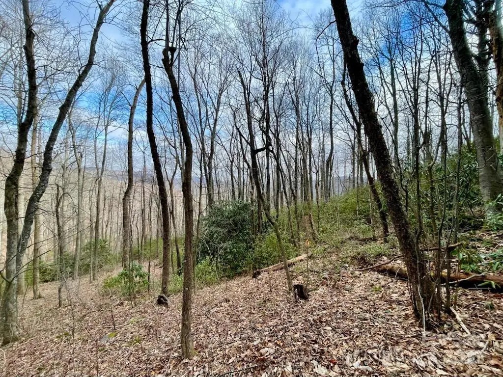 10.02 Acres Tbd Rock Garden Road, Black Mountain