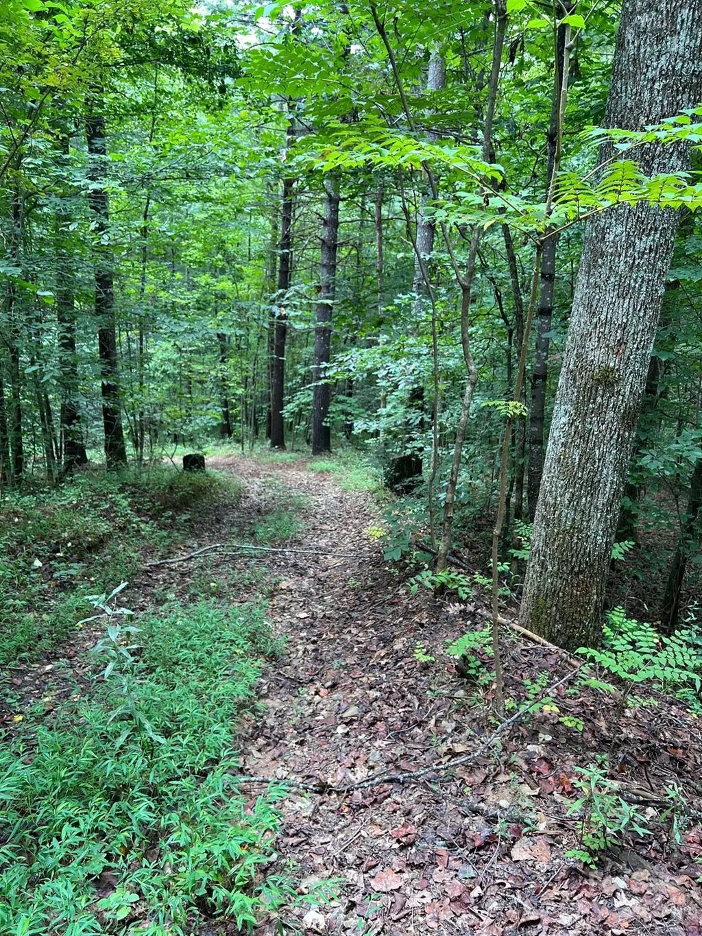645 Tunnel Road 157 & 158, Marion