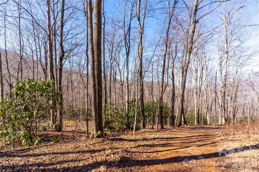 1248 Arborcrest Way 46, Swannanoa