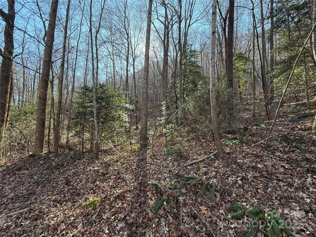 Lot 343 Bolt Road, Lake Lure