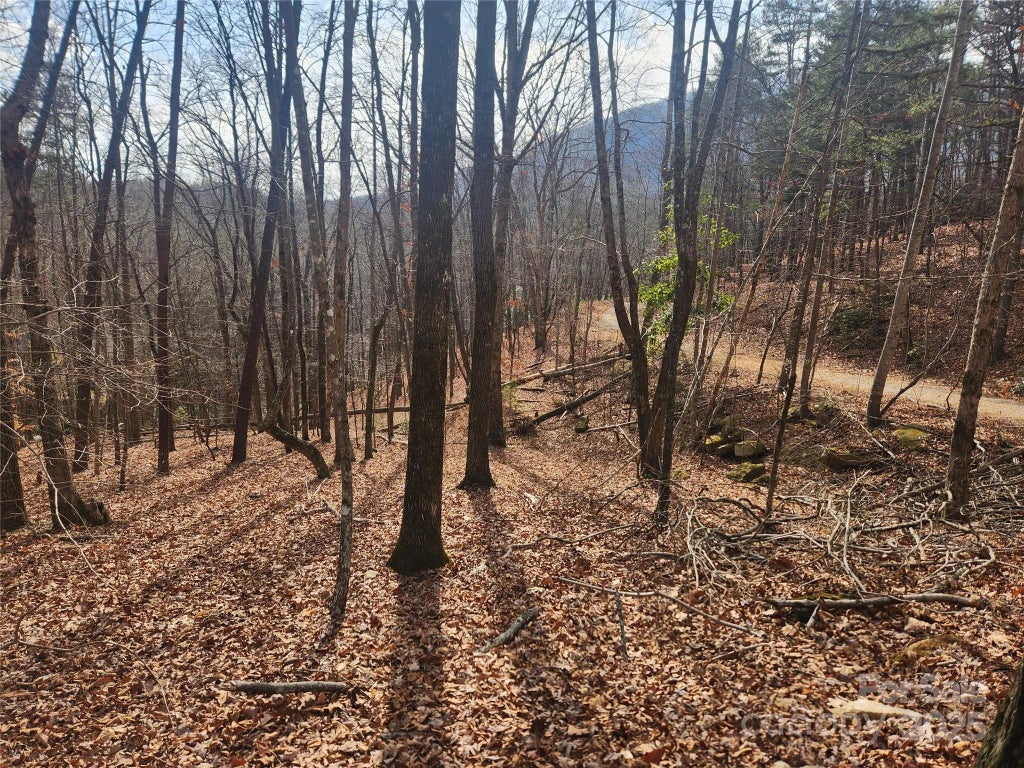 Lot 83 Walnut Lane, Lake Lure