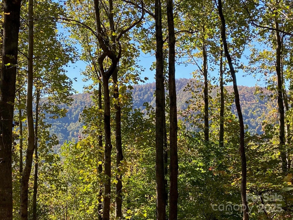 501 Warbler Lane T-62, Black Mountain