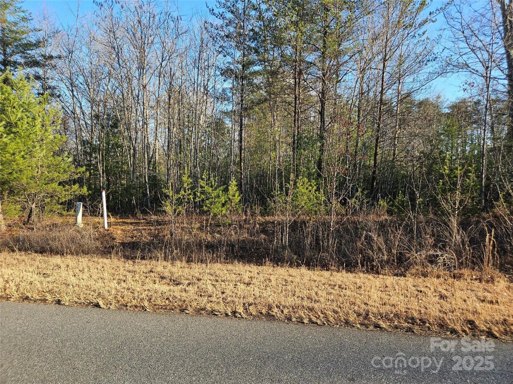 3163 Lake Drive 53 & 52, Morganton