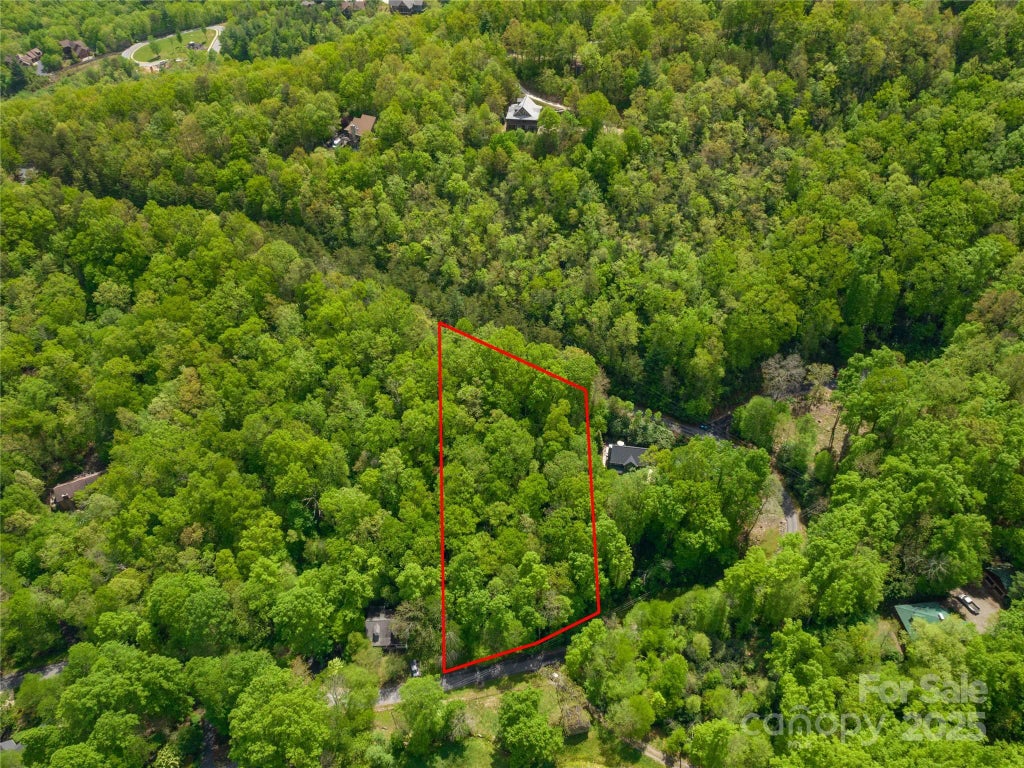 99999 Holland Drive Lot 25, Black Mountain