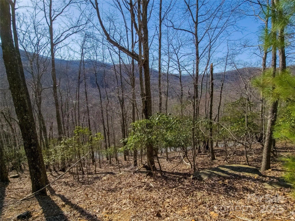 195 Smokemont Drive 64, Arden