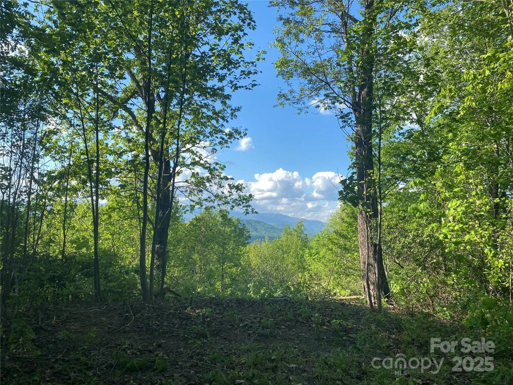 1099 Mitchell View Drive 915/915a, Old Fort