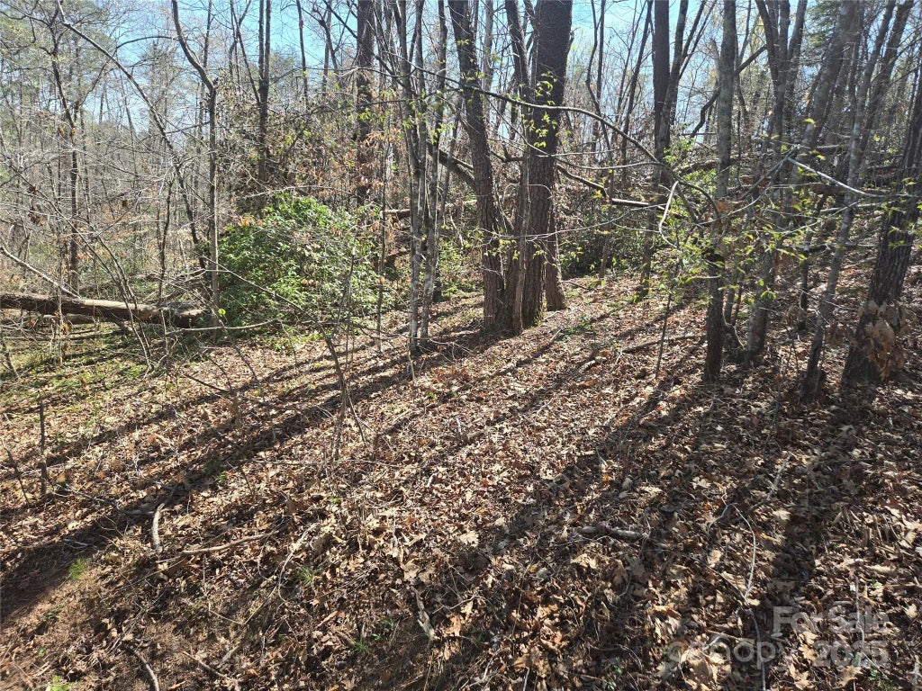 Lot 15 Jonathan Lane, Lake Lure