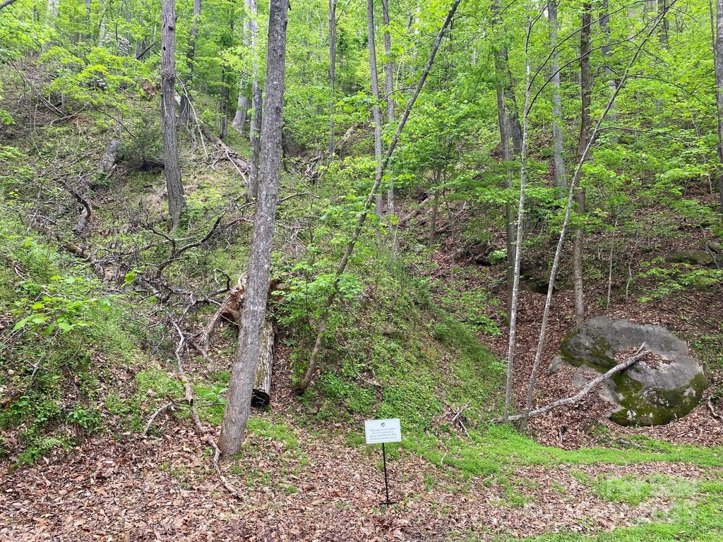 0 South Drive 51, Lake Lure