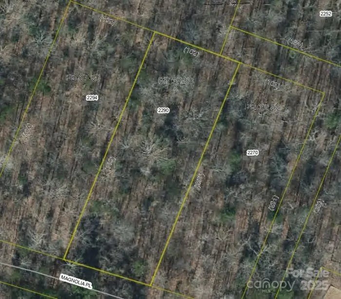 2290 Magnolia Place 6, Morganton