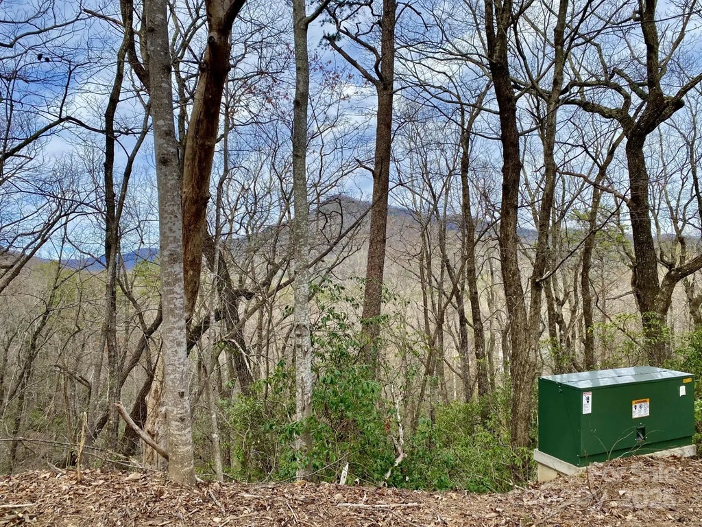 0 Rumbling Bald Road 28, Lake Lure