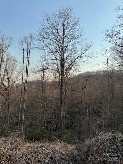 910 Morgan Hill Road, Black Mountain