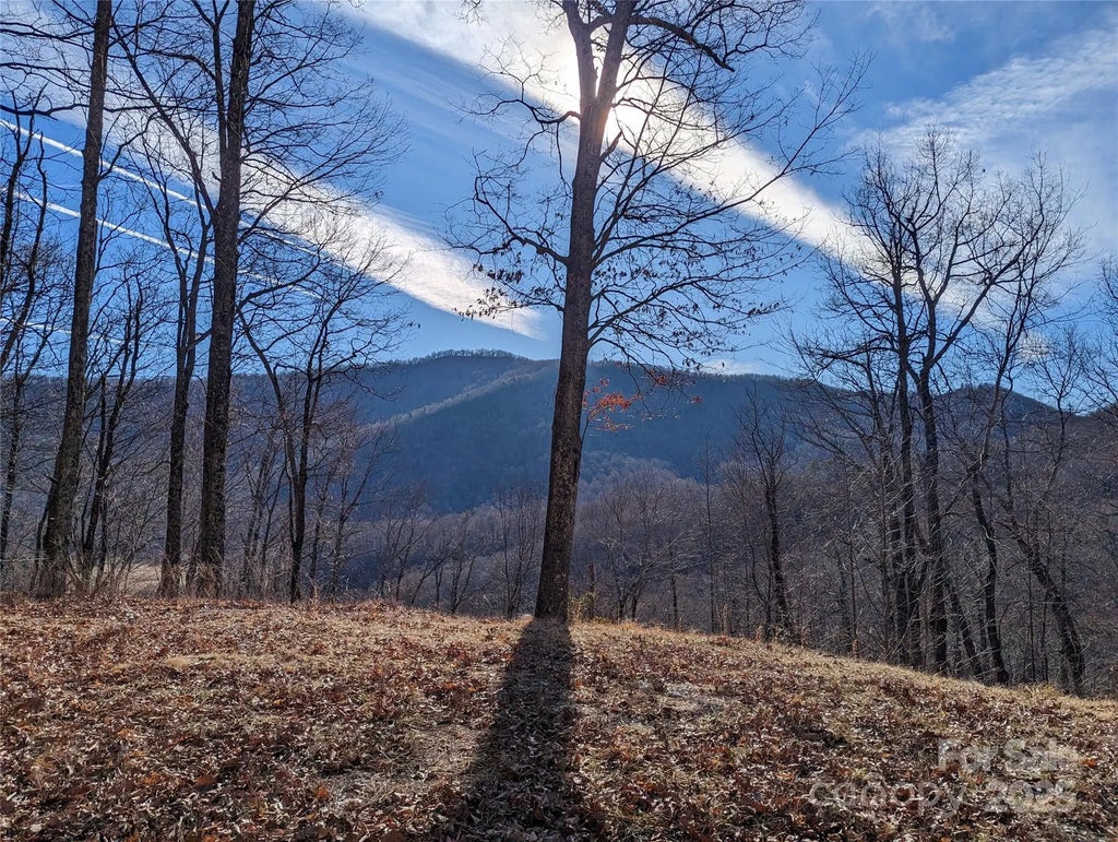 367 Kestrel Lane T-85, Black Mountain