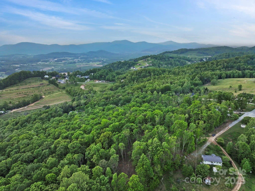 000 Jacks Paw Lane 8, Hendersonville