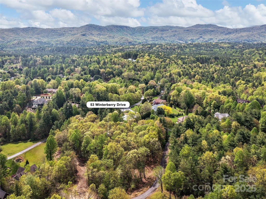 Lot #53 Winterberry Drive, Hendersonville